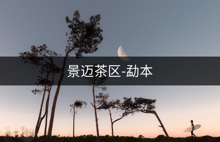 景邁茶區(qū)-勐本