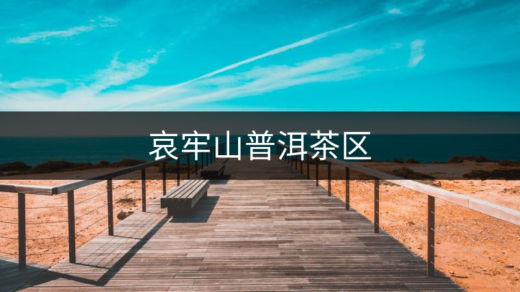 哀牢山普洱茶區(qū)