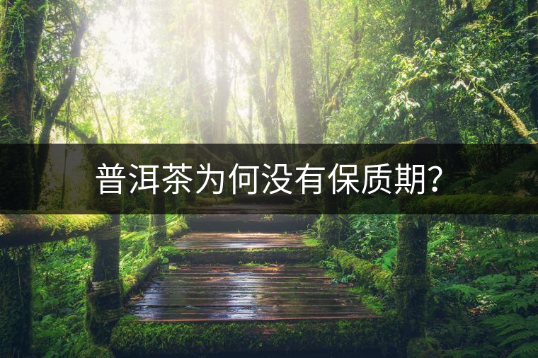 普洱茶為何沒有保質(zhì)期？