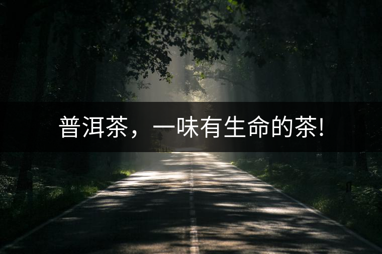 普洱茶，一味有生命的茶!