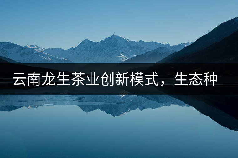 云南龍生茶業(yè)創(chuàng)新模式，生態(tài)種植