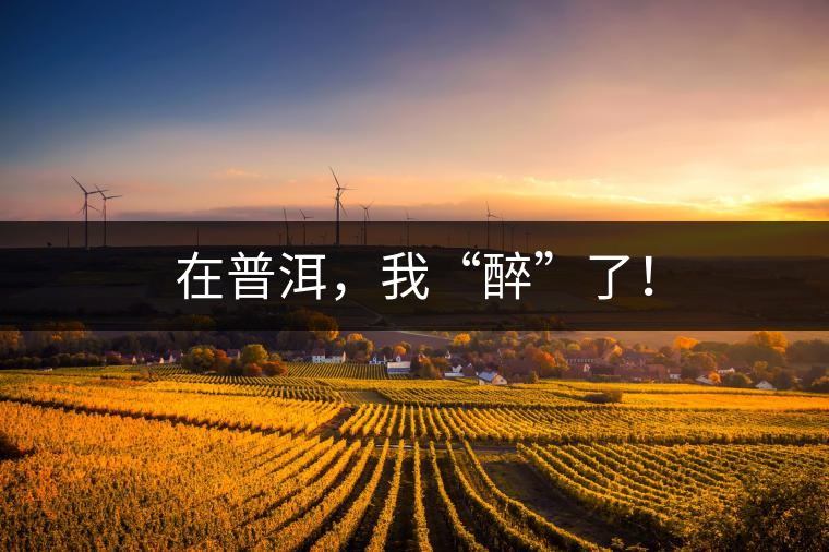 在普洱，我“醉”了！