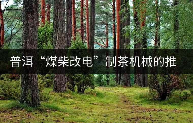 普洱“煤柴改電”制茶機(jī)械的推廣者