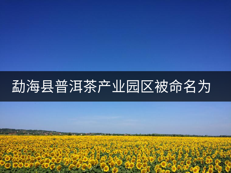 勐?？h普洱茶產(chǎn)業(yè)園區(qū)被命名為 