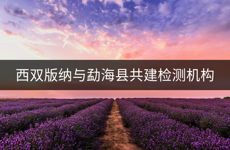 西雙版納與勐?？h共建檢測(cè)機(jī)構(gòu)