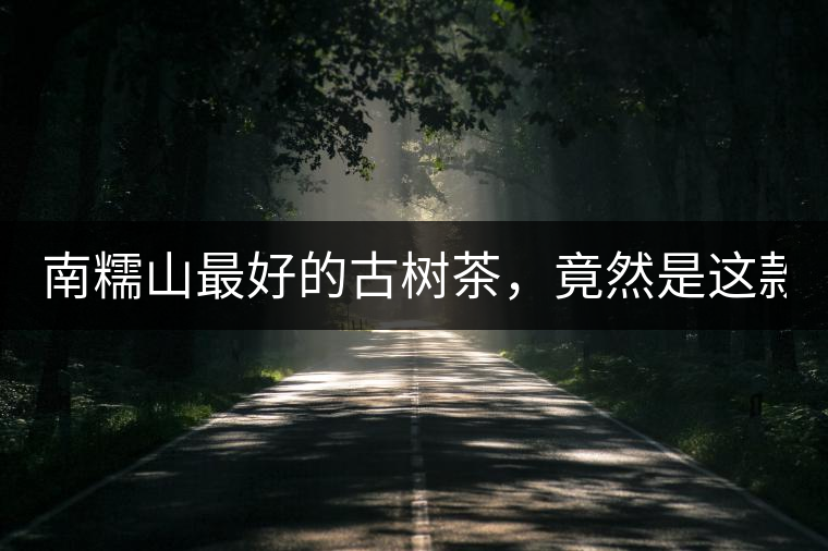 南糯山最好的古樹茶，竟然是這款！