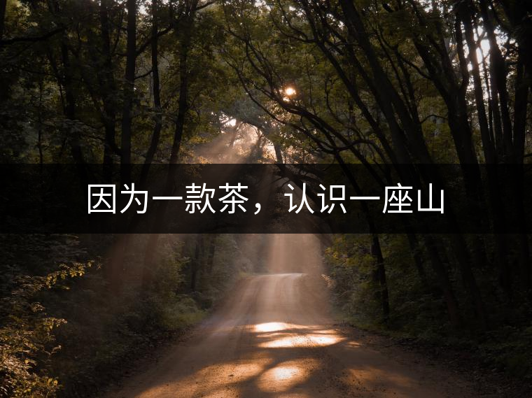 因?yàn)橐豢畈?,認(rèn)識一座山 因?yàn)橐豢畈?,認(rèn)識一座山