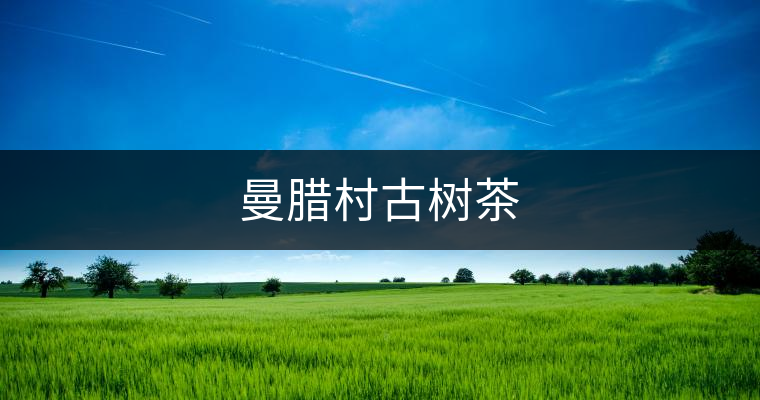 曼臘村古樹茶 曼臘村古樹茶