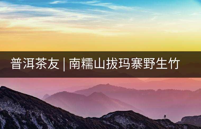 普洱茶友 | 南糯山拔瑪寨野生竹蓀給看過？