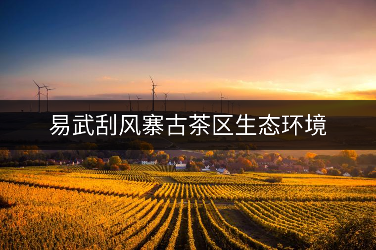 易武刮風(fēng)寨古茶區(qū)生態(tài)環(huán)境