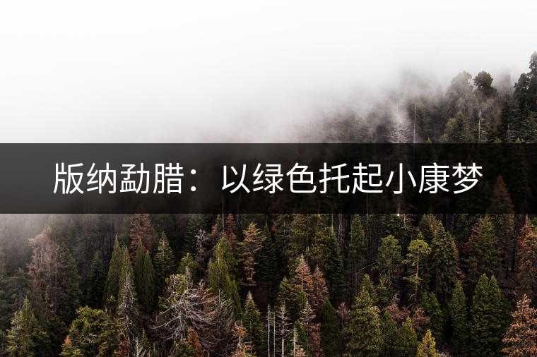 版納勐臘:以綠色托起小康夢 版納勐臘:以綠色托起小康夢