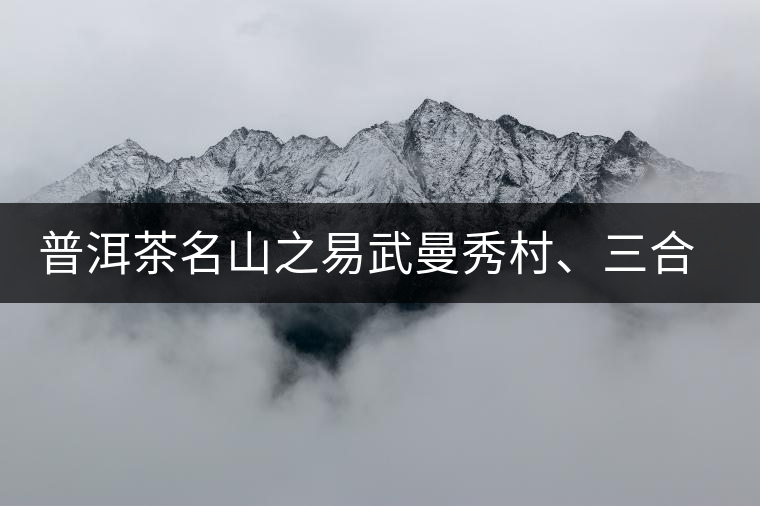 普洱茶名山之易武曼秀村、三合社村