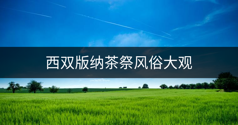 西雙版納茶祭風俗大觀 西雙版納茶祭風俗大觀