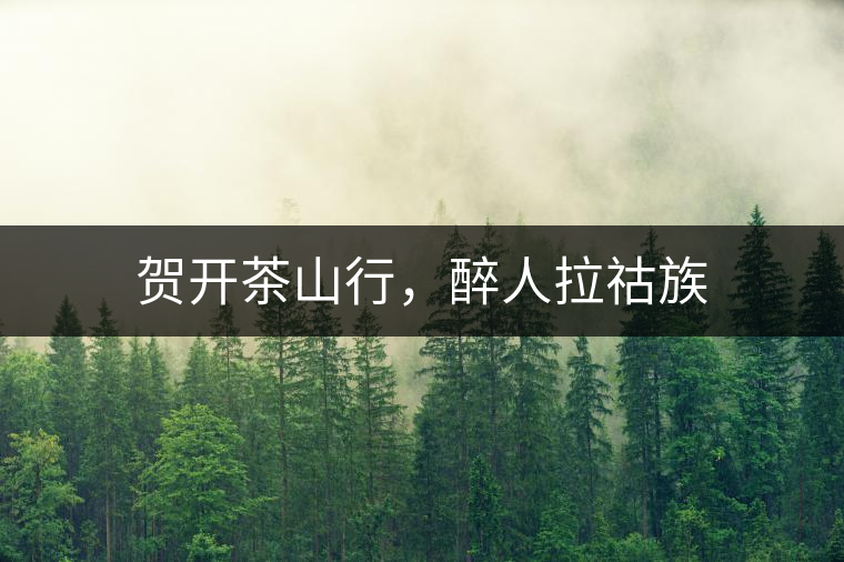 賀開茶山行，醉人拉祜族