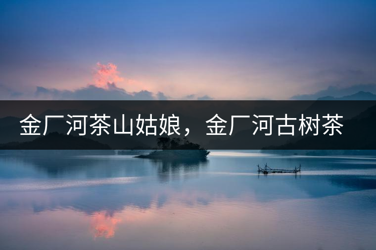 金廠河茶山姑娘，金廠河古樹茶特點與價格