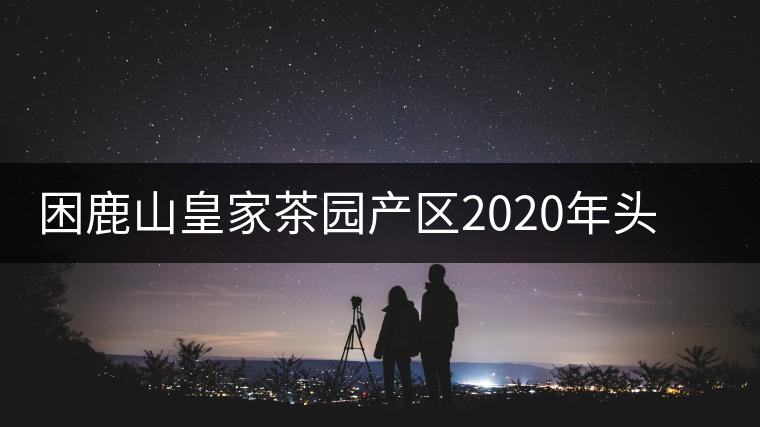 困鹿山皇家茶園產(chǎn)區(qū)2020年頭春古樹，白花林口感特點(diǎn)