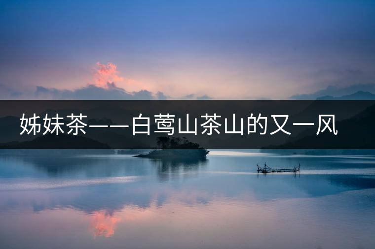 姊妹茶——白鶯山茶山的又一風(fēng)景線 姊妹茶——白鶯山茶山的又一風(fēng)景線