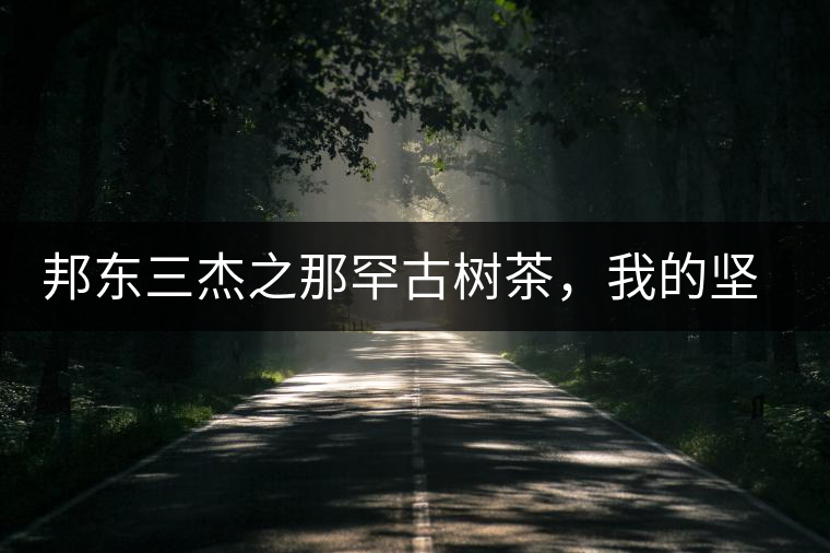 邦東三杰之那罕古樹茶，我的堅持