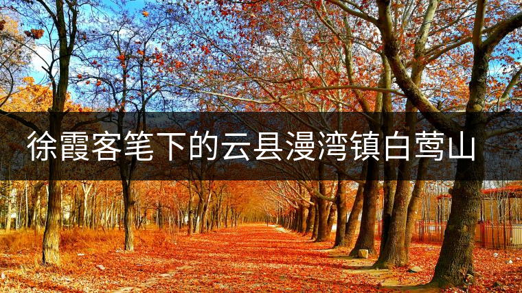 徐霞客筆下的云縣漫灣鎮(zhèn)白鶯山古樹茶 徐霞客筆下的云縣漫灣鎮(zhèn)白鶯山古樹茶