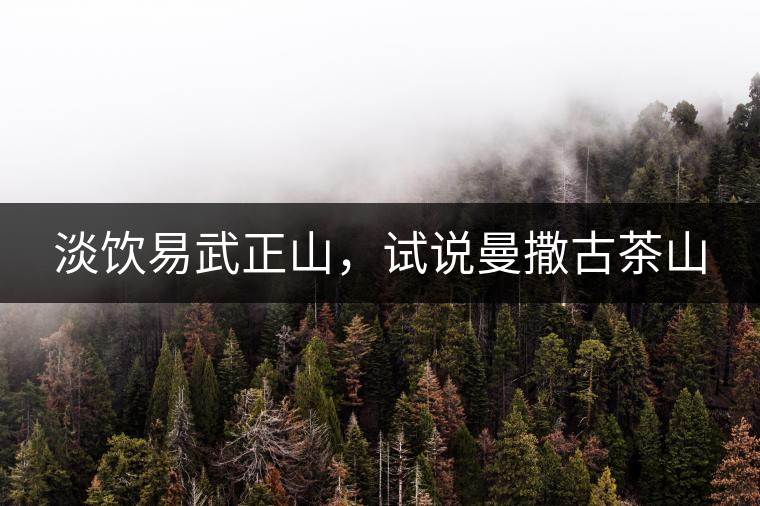 淡飲易武正山，試說曼撒古茶山