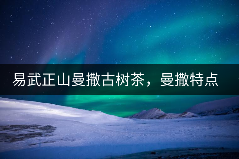 易武正山曼撒古樹茶，曼撒特點分享介紹