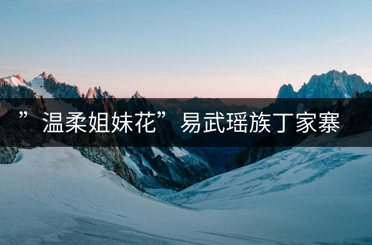 ”溫柔姐妹花”易武瑤族丁家寨、漢族丁家寨介紹