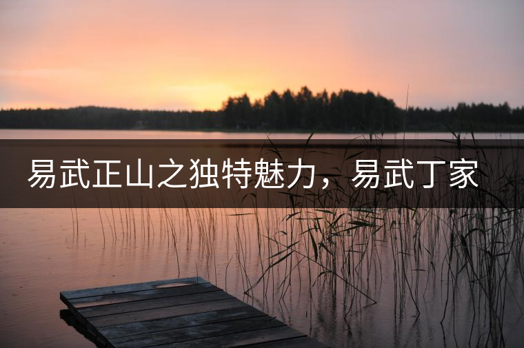 易武正山之獨(dú)特魅力，易武丁家寨介紹品鑒