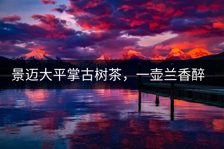 景邁大平掌古樹茶，一壺蘭香醉春秋