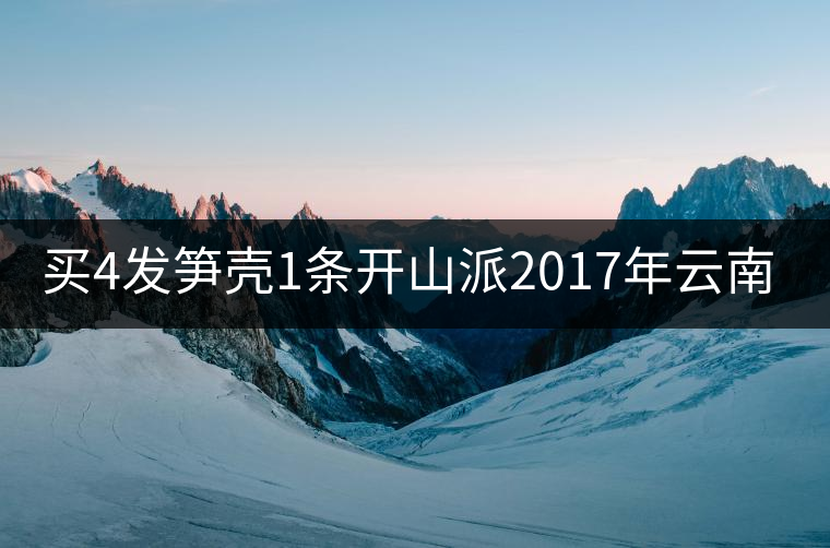 買4發(fā)筍殼1條開(kāi)山派2017年云南勐海熟沱緊壓 普洱茶熟茶沱100g