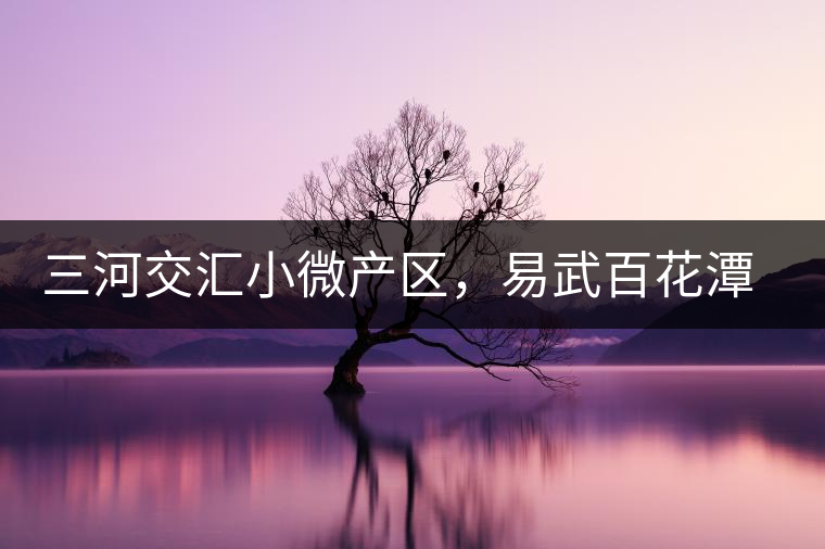 三河交匯小微產(chǎn)區(qū)，易武百花潭古茶園介紹