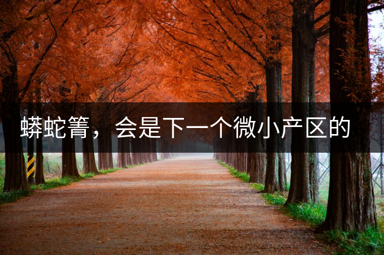 蟒蛇箐，會是下一個微小產(chǎn)區(qū)的熱門山頭嗎？