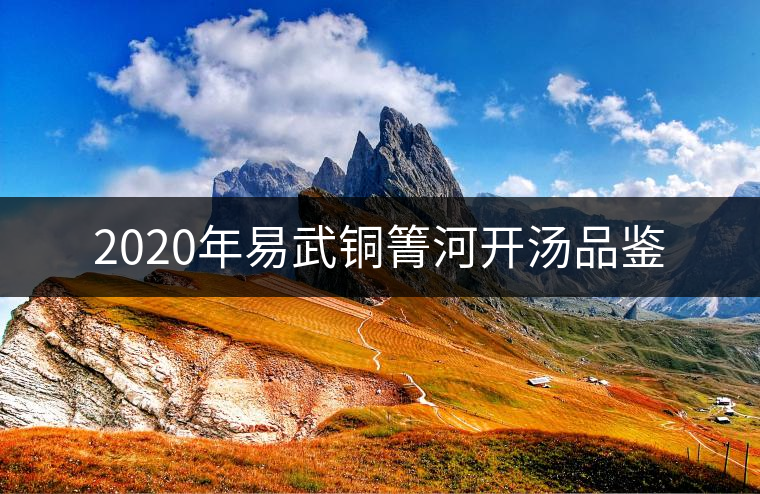 2020年易武銅箐河開(kāi)湯品鑒 2020年易武銅箐河開(kāi)湯品鑒