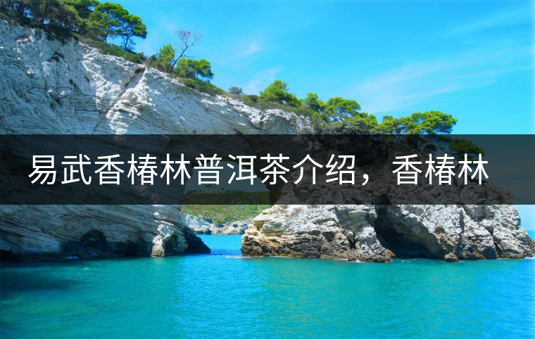 易武香椿林普洱茶介紹，香椿林古樹茶口感特點