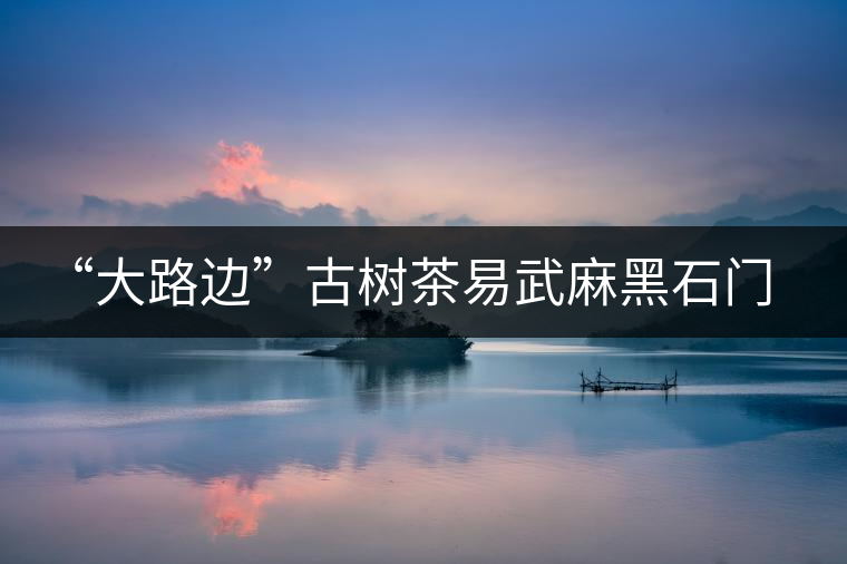 “大路邊”古樹(shù)茶易武麻黑石門(mén)坎你應(yīng)該了解的山頭 “大路邊”古樹(shù)茶易武麻黑石門(mén)坎你應(yīng)該了解的山頭