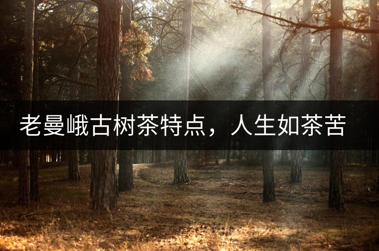 老曼峨古樹茶特點，人生如茶苦盡甘來