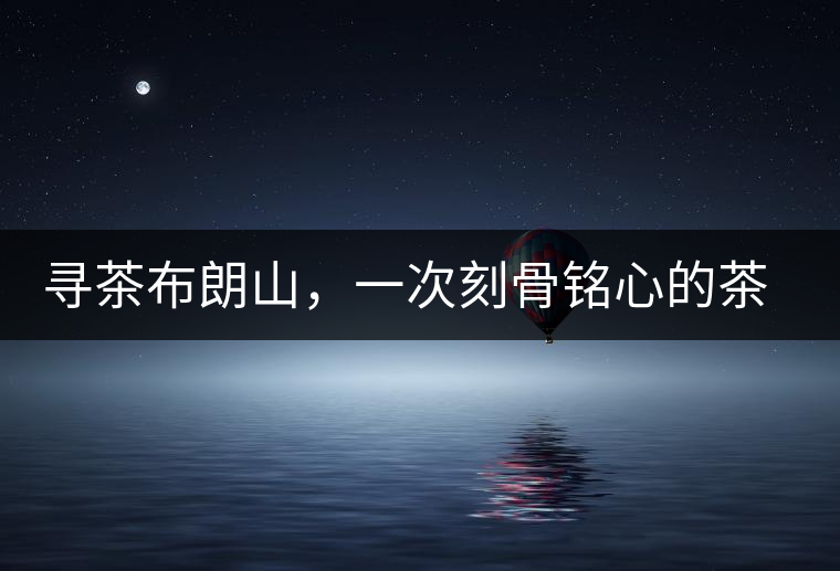 尋茶布朗山，一次刻骨銘心的茶山行