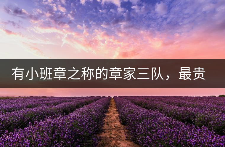 有小班章之稱的章家三隊(duì)，最貴的小樹茶