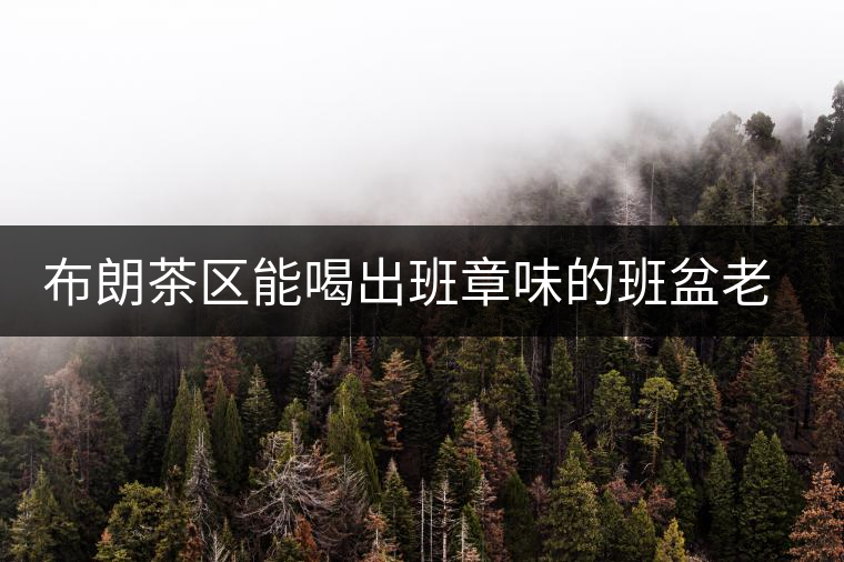 布朗茶區(qū)能喝出班章味的班盆老寨你知道嗎？