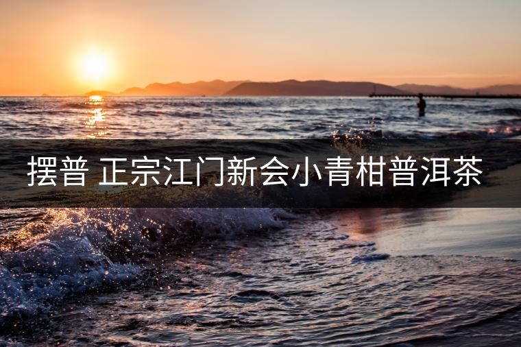 擺普 正宗江門(mén)新會(huì)小青柑普洱茶陳皮云南宮廷熟茶葉小沱茶60g