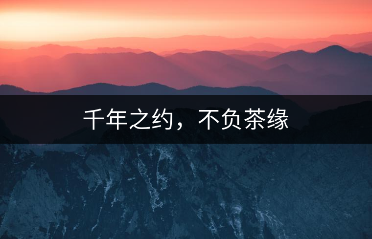 千年之約，不負茶緣