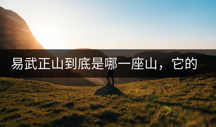 易武正山到底是哪一座山，它的含義你了解嗎？