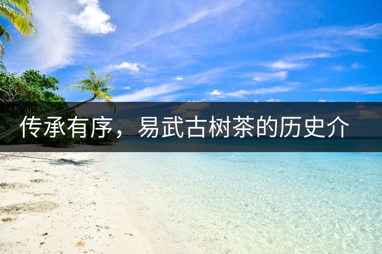 傳承有序，易武古樹茶的歷史介紹