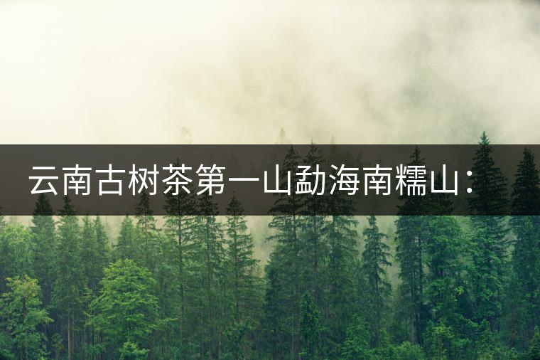 云南古樹茶第一山勐海南糯山:筍醬飄香的地方 云南古樹茶第一山勐海南糯山:筍醬飄香的地方