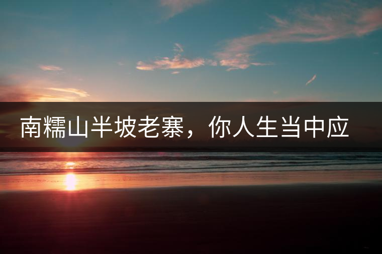 南糯山半坡老寨，你人生當中應該入手的第一片勐海味古樹純料普洱茶