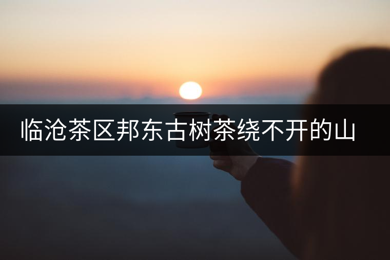 臨滄茶區(qū)邦東古樹茶繞不開的山頭——曼崗古樹茶口感與特點 臨滄茶區(qū)邦東古樹茶繞不開的山頭——曼崗古樹茶口感與特點