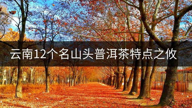 云南12個(gè)名山頭普洱茶特點(diǎn)之攸樂(lè)篇 云南12個(gè)名山頭普洱茶特點(diǎn)之攸樂(lè)篇