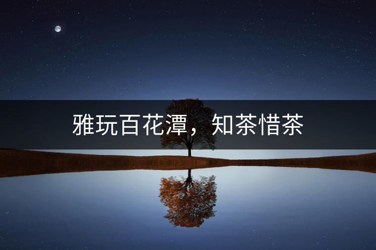 雅玩百花潭，知茶惜茶