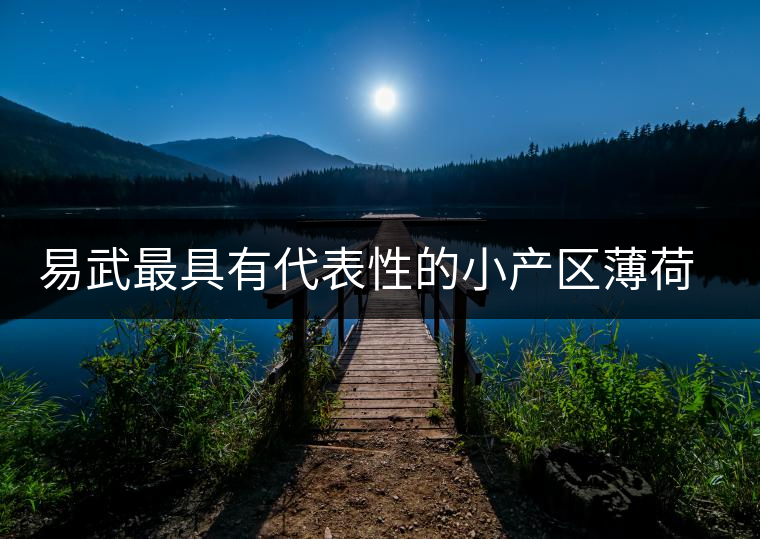 易武最具有代表性的小產(chǎn)區(qū)薄荷塘，一滴都不舍得浪費(fèi)