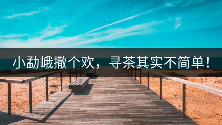 小勐峨撒個(gè)歡，尋茶其實(shí)不簡(jiǎn)單！