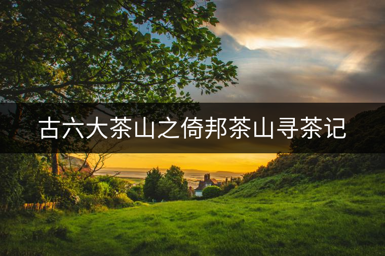 古六大茶山之倚邦茶山尋茶記 古六大茶山之倚邦茶山尋茶記